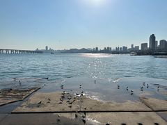 -星海广场
