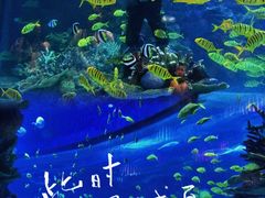 -欢乐海岸海洋奇梦馆