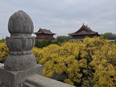 -大槐树寻根祭祖园