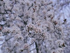 -大蜀山国家森林公园