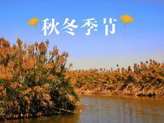 -大湾区中央湿地公园
