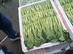 -西郊国际农产品交易中心