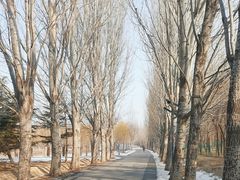 -将府公园