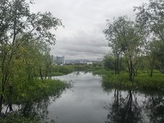-洱海月湿地公园