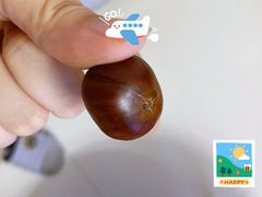 -粒上皇(市桥易发商业街店)