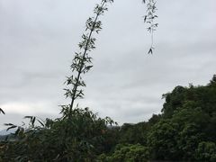 -福道