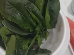 -草原传奇鲜羊火锅(桥北店)