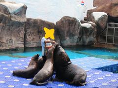 -海合安成都极地海洋公园