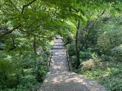 -南京老山国家森林公园