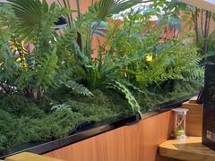 -0048鲜活香辣虾·火锅(铜陵路店)