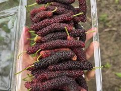 -万年昌传统榨粉店(蒲庙总店)