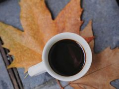 -Radar Coffee(思南路店)