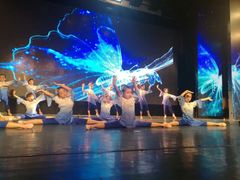 -美育儿童音乐舞蹈国际机构(浦东分校)
