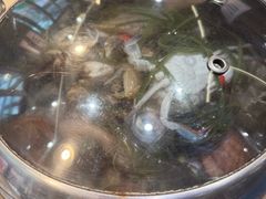 -船梆煮•蒸汽海鲜·炉火烤肉(五四广场店)