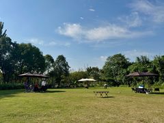 -白鹭湾湿地公园