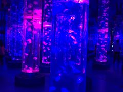 -梦幻海洋王国(吾悦广场张家港店)