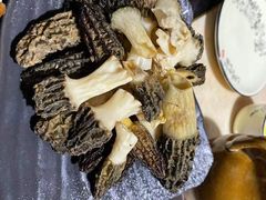 -蘑统田下·野生菌火锅
