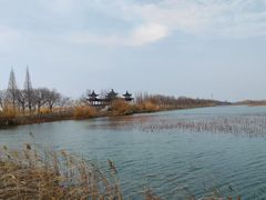 -泗洪洪泽湖湿地景区