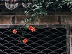 -前童古镇