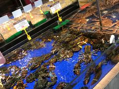-船歌·鱼水饺青岛菜(闽江二路店)