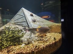 -欢乐海岸海洋奇梦馆