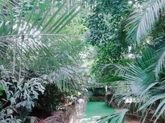 -呀路古热带植物园