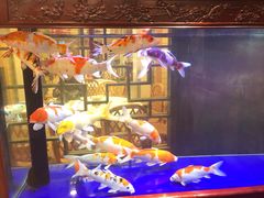 -庐州太太(鼓楼店)