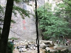 -陕西省红河谷森林公园