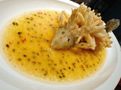-海味·悦外滩中餐厅(上海宝龙丽筠酒店)