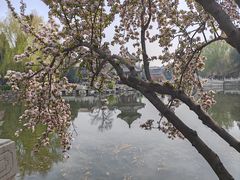 -莲池书院博物馆