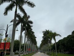 -厦门大学(思明校区)