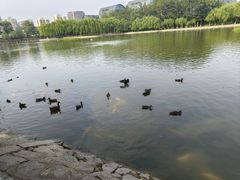 -中国农业博物馆