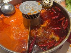 -蜀大侠火锅(总府路店)