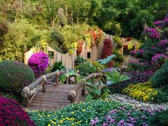 -杭州植物园