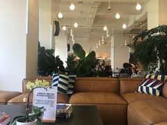 -劳力士&帝舵(第一八佰伴店)