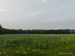 -东郊湿地公园