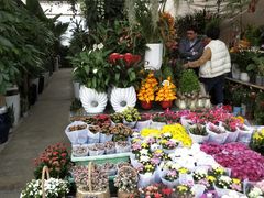 -三圣花乡旅游区