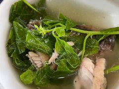 鲫鱼簕菜汤-东兴黄鳝饭店(江洲店)