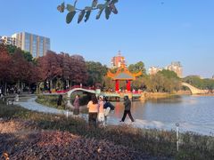 -金砂公园