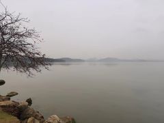-东湖生态旅游风景区