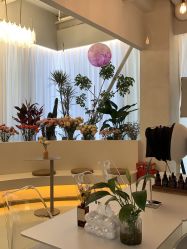 -韩芙莱芳疗spa健康管理