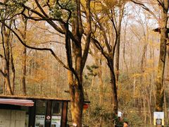 -WeLope紫金山探险公园