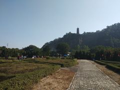 -南沙蒲洲花园