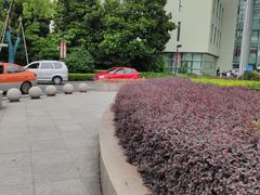 -上海市第一人民医院(松江南部)