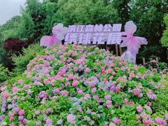 -上海滨江森林公园