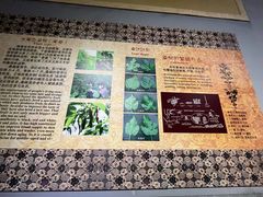 -凤凰沟景区