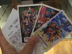 -东京塔海贼王主题公园