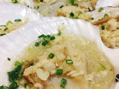 蒜蓉粉丝蒸扇贝-盛港湾海鲜食府(黄沙店)