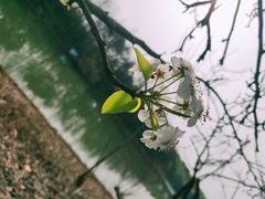 -梁鸿国家湿地公园