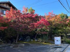 -常寂光寺
